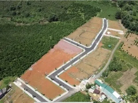 Vẽ '"dự án ma" ở Lâm Đồng, Tập đoàn Sam Group chiếm đoạt hơn 16 tỷ đồng