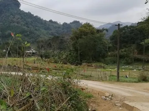 Biên bản của kiểm lâm tiết lộ sự thật thông tin hổ xuất hiện ở Phú Thọ