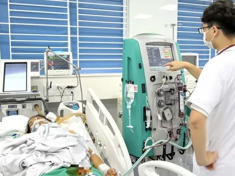 Nữ công nhân nguy kịch vì nhiễm xoắn khuẩn vàng da sau mưa lũ