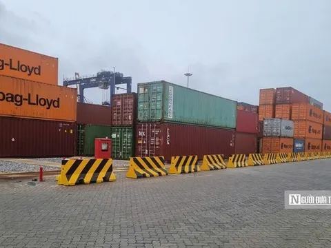 Gần 14 triệu cổ phiếu niêm yết bổ sung của Dịch vụ biển Tân Cảng sắp chào sàn