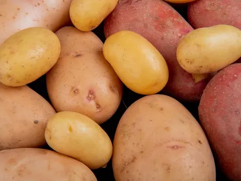 Loại nào tốt hơn: Khoai lang hay khoai tây? Quýt hay cam?