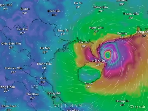 Bão số 11 Matmo áp sát, hàng loạt địa phương vào vùng nguy hiểm