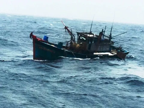 Tai nạn nghiêm trọng trên vùng biển Khánh Hòa
