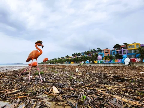 Sau bão số 10 Bualoi, bãi biển nổi tiếng Thanh Hóa xuất hiện điều khó tin