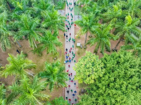 Đại đô thị xanh lớn nhất Nghệ An tổ chức giải chạy Eco Central Park Marathon