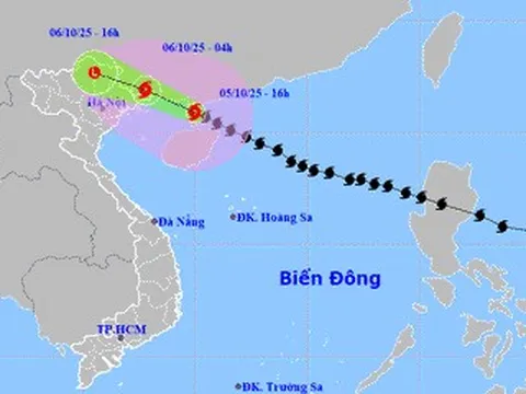 Bão số 11 Matmo có thể vào Quảng Ninh đêm nay, gió mạnh nhất cấp 8-9
