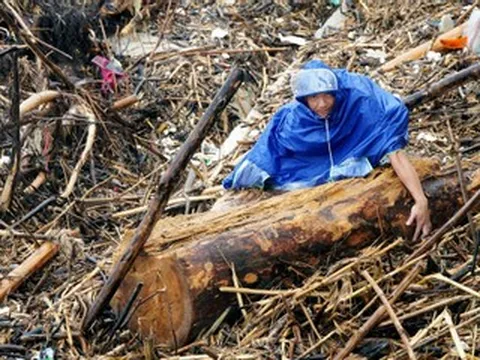 Cảnh tượng bất ngờ ở bãi biển Thanh Hóa sau bão Bualoi