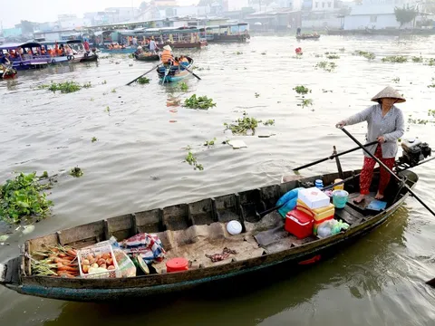 Mật độ rác nhựa ven sông ở đô thị Cần Thơ gấp 3 lần ở nông thôn