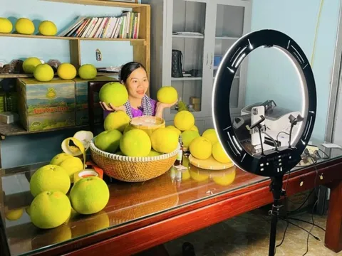 Hà Tĩnh chinh phục người tiêu dùng qua livestream bán hàng TikTok