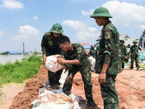 Xuất hiện dấu hiệu bất thường dưới chân đê, hàng nghìn người phải khẩn trương ứng phó