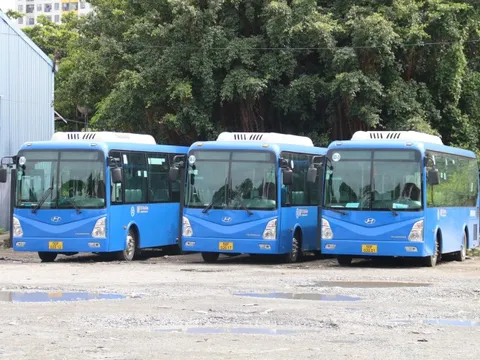 TP HCM sắp có tuyến xe buýt mới đến Đại học Quốc gia