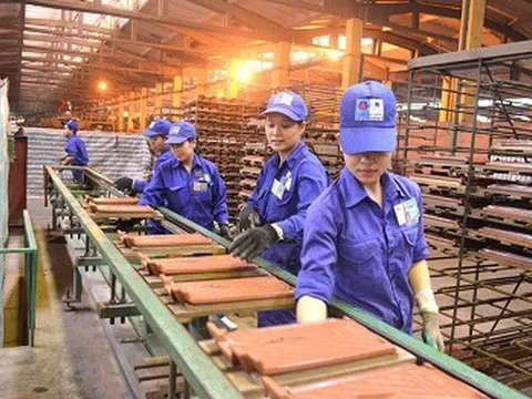 Viglacera Đông Triều đã âm vốn chủ sở hữu