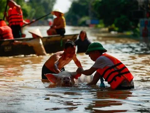 Dự báo thời tiết 11/10/2025: Miền Bắc nắng mạnh trên 33 độ trước khi lại mưa lớn