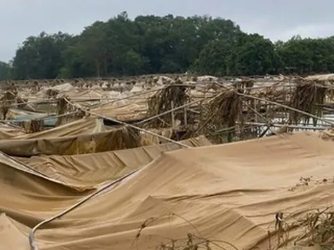 Cảnh tượng thắt lòng sau lũ dữ ở Cao Bằng