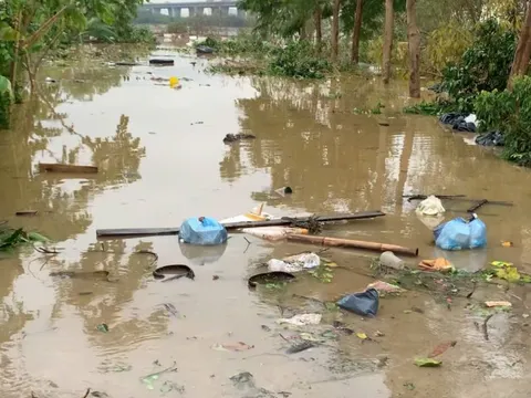 Bộ Y tế: Tuyệt đối không sử dụng gia súc, gia cầm chết làm thức ăn