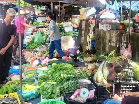 Bà nội trợ giật mình với giá rau xanh tăng gấp 3 lần, rau muống, rau cải tới 25.000 đồng/mớ