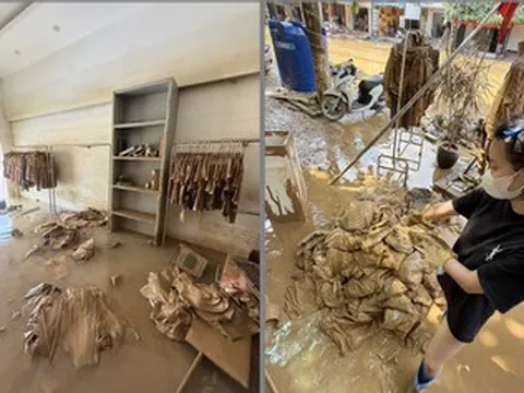 Chủ tiệm muốn ngất vì mất bạc tỷ, tan hoang sau lũ: Tôi sẽ làm lại từ con số âm