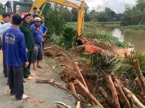 Đỉnh lũ 2025 vượt báo động, hàng nghìn ha lúa ở Tây Ninh đứng trước nguy cơ ngập úng