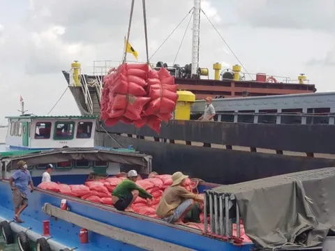 Doanh nghiệp Việt làm gì khi Philippines tính kéo dài lệnh cấm nhập khẩu gạo?