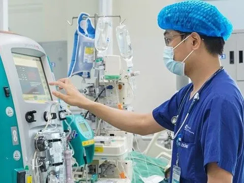 Hai bé sinh đôi 19 tháng tuổi không qua khỏi khi ngã xuống ao