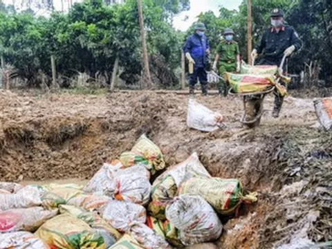 6.500 con gà chết trong lũ, nữ chủ trang trại khóc nghẹn: 'Tôi mất trắng rồi'