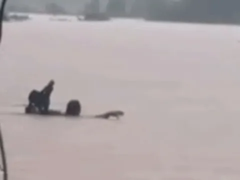 Phút nghẹt thở cứu sống cháu bé 8 tuổi bị nước lũ cuốn trôi khi đi học về