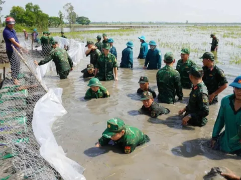 Lũ làm thủng đê ở Đồng Tháp Mười, bộ đội Tây Ninh hỗ trợ dân gia cố đê bảo vệ lúa