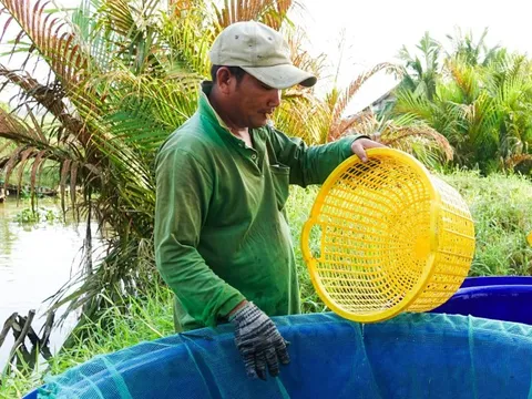 Phát huy vai trò kinh tế hợp tác trong xây dựng nông thôn mới