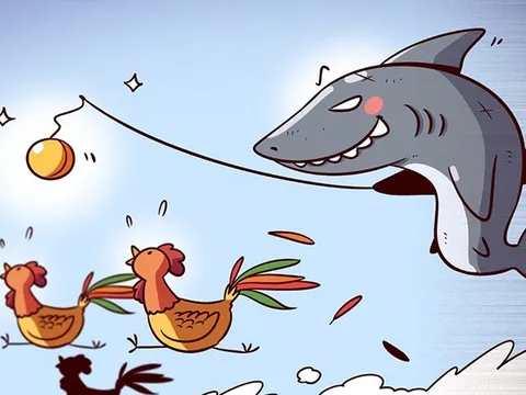 Chuyện đời của sác