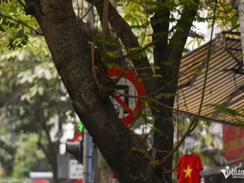 Cục CSGT kêu gọi người dân phản ánh bất cập về biển báo, đèn tín hiệu