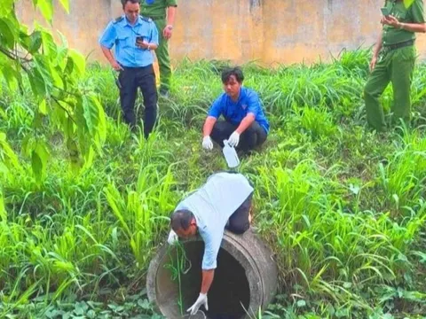 Xả nước thải ô nhiễm ra môi trường, một công ty bị phạt hơn 340 triệu đồng