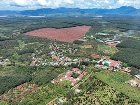 Mất sổ đỏ hơn 700m² đất ở, xin cấp lại có bị thu hẹp diện tích?