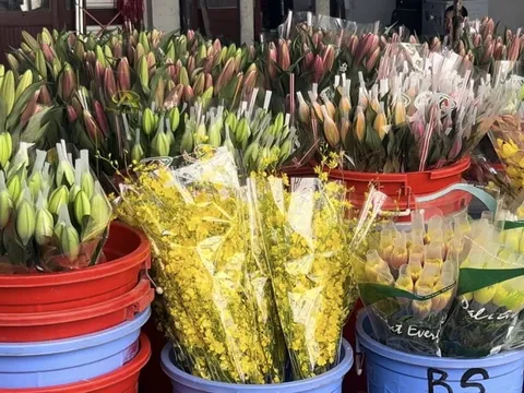 VIDEO: Chợ hoa Hồ Thị Kỷ nhộn nhịp dịp 20-10