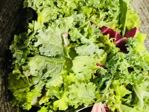 Người Việt đang ăn quá ít rau quả, HCDC kêu gọi hãy sống khỏe bắt đầu từ bữa cơm gia đình