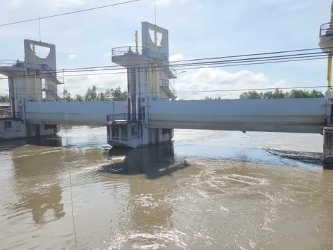 Đóng cống Tha La và một phần cống Trà Sư để bảo vệ lúa thu đông