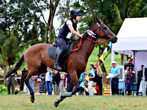 Đề xuất tăng mức cá cược bóng đá quốc tế, đua ngựa, đua chó lên 100 triệu đồng/ngày