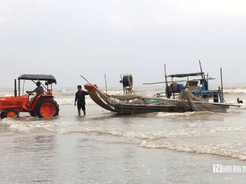 Người dân xứ Nghệ đổ xô săn “lộc trời”, bỏ túi tiền triệu mỗi ngày