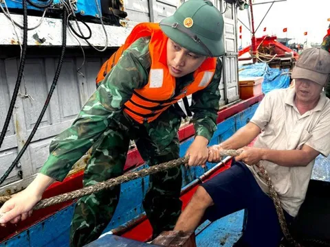 Bão số 12 Fengshen diễn biến phức tạp, dự báo gây mưa lũ lớn, Thủ tướng chỉ đạo khẩn