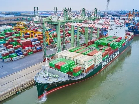 Giá cước tăng, Cảng xanh VIP báo lãi thêm trăm tỷ đồng