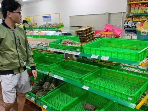 Đà Nẵng: Người dân đổ xô mua thực phẩm tích trữ trước bão, rau xanh 'cháy hàng'