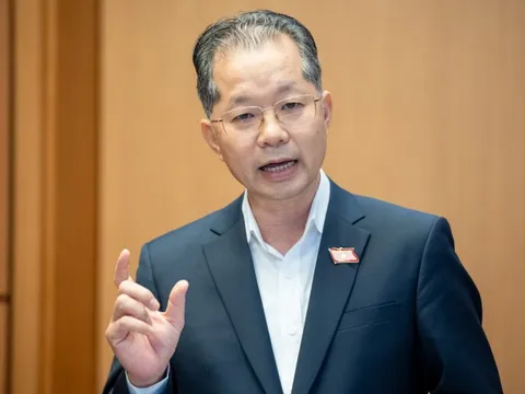 Doanh nghiệp mất 3 năm không phá sản được, ông Nguyễn Văn Quảng nói cần thủ tục đặc biệt