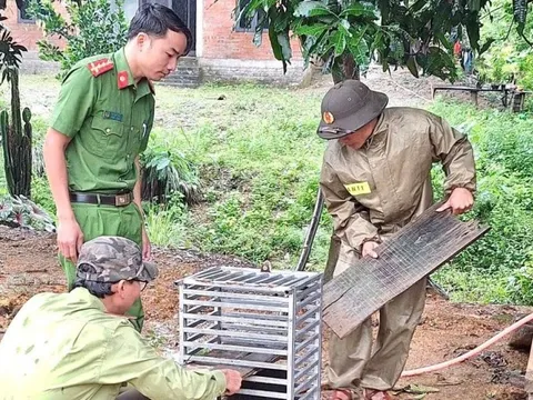 Bắt được con vật "mặt đỏ như gấc", người dân trình báo chính quyền