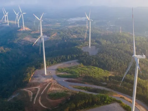 Quảng Trị chấp thuận 2 dự án điện gió mới hơn 3.500 tỉ đồng