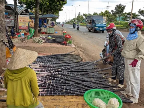 Chợ 9 tỉ bỏ hoang chục năm, chợ tự phát tràn ra quốc lộ 14, tiểu thương 'né' thuê và thuế?