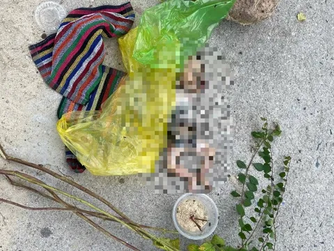 Phát hiện thi thể thai nhi còn dây rốn