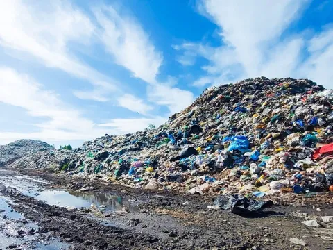 Phú Quốc cấm đốt rác, thả rông vật nuôi nơi công cộng