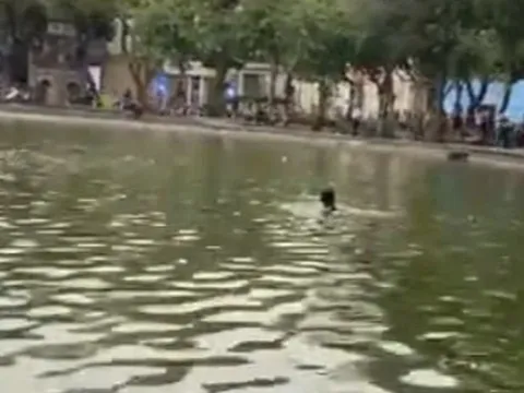 Điều tra vụ cô gái lội xuống hồ Hoàn Kiếm tử vong