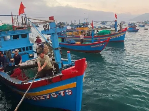 Gia Lai hỗ trợ gần 9 tỉ đồng giúp ngư dân ổn định đời sống