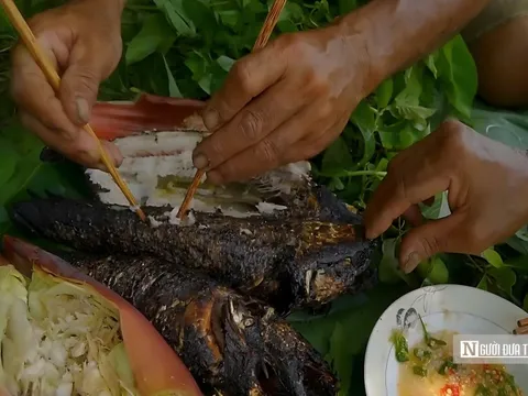 Từ món “nhà nghèo” thành biểu tượng ẩm thực của miền Tây