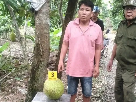 Trộm 2 trái mít, người đàn ông bị khởi tố